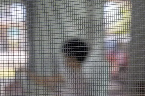 Mosquito Net