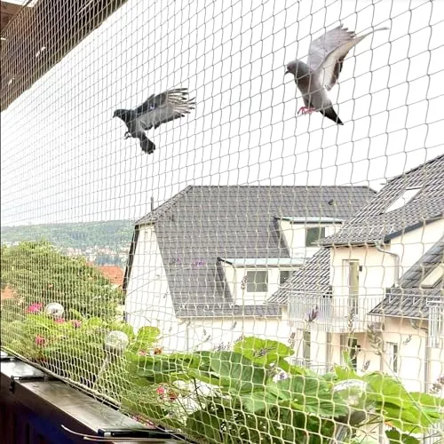 Bird Net